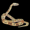 Monk Icon